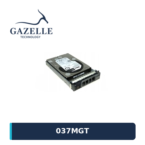 Dell 037MGT