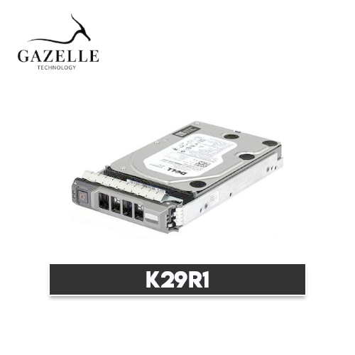 K29R1