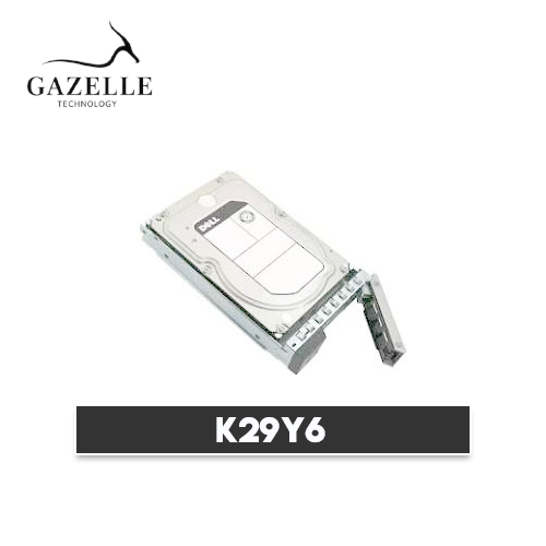 K29Y6