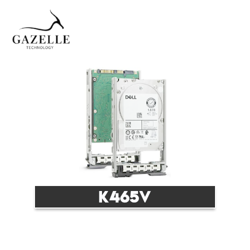 K465V