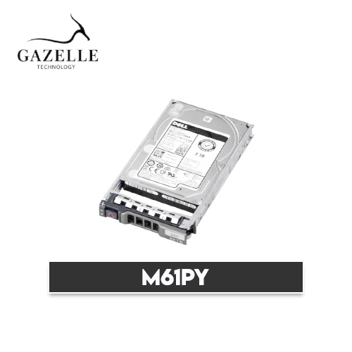 M61PY