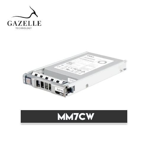 MM7CW