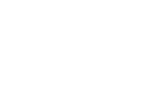 Gazelle Technology